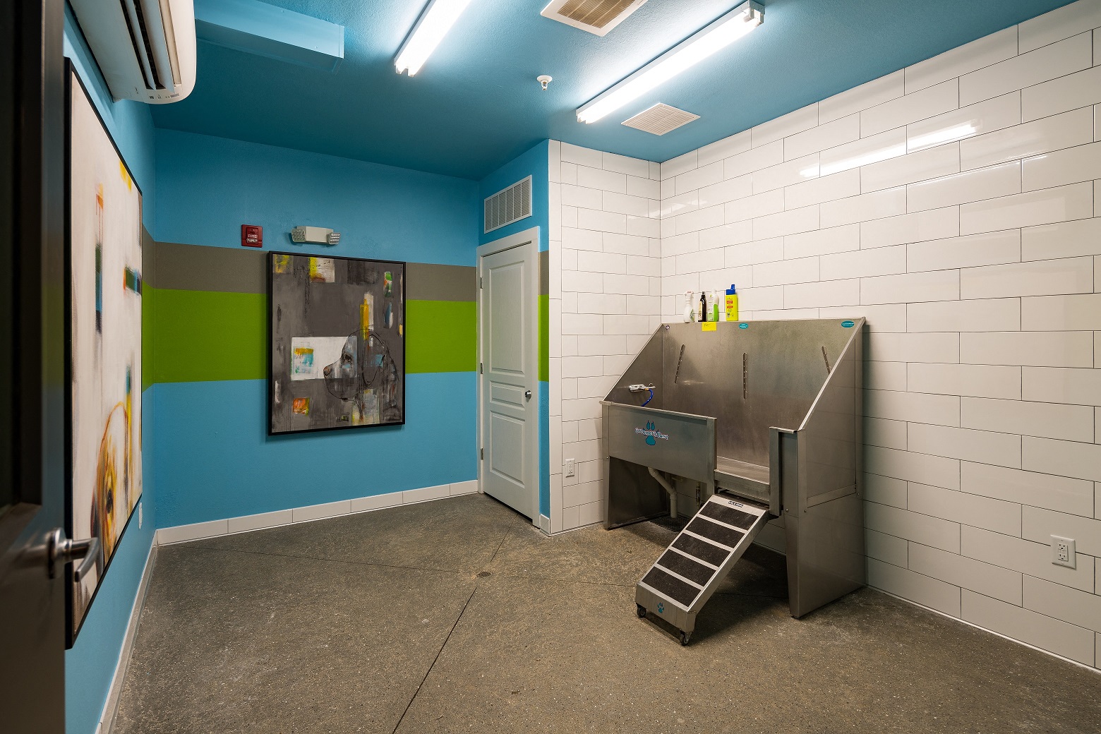 Pet Spa For Your Furry Friend, at The Kirkwood, Atlanta, Georgia